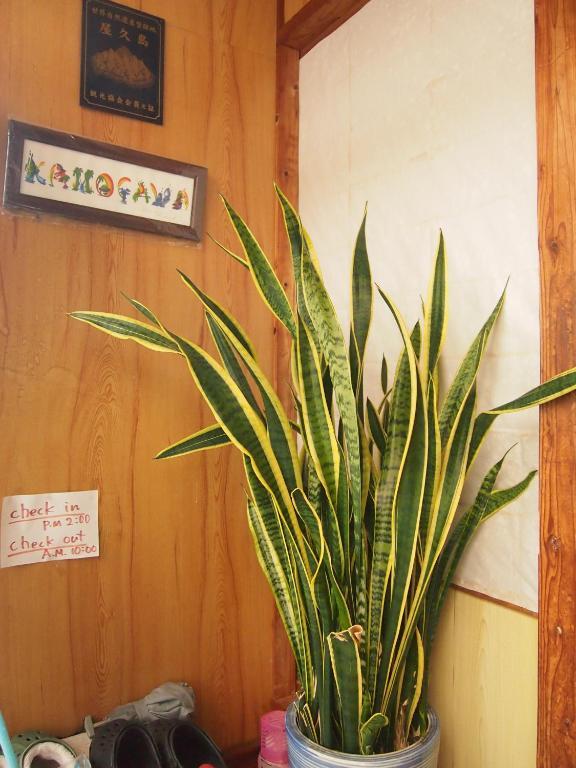 Tirol Hotel Yakushima  Phòng bức ảnh